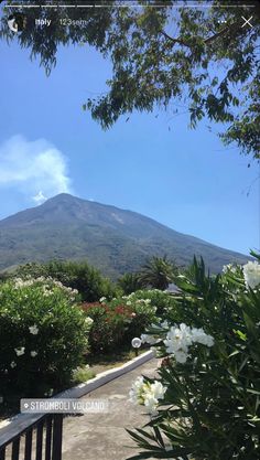 a view of the top of a mountain from a park bench