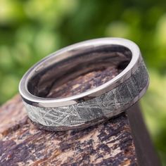 two wedding bands sitting on top of a piece of wood with trees in the background