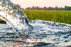 water pouring out of a bucket into a field