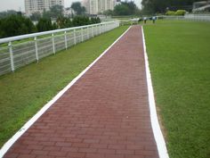 a red brick path in the middle of a grassy area with white fence and buildings in the background