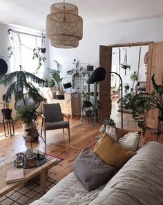 a living room filled with lots of plants and furniture