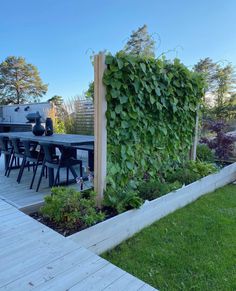 an outdoor dining area with table and chairs covered in green plants next to a wooden deck