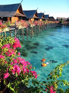 two people swimming in the water next to some buildings and flowers on the shore line