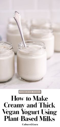 how to make creamy and thick vegan yogurt using plant based milks