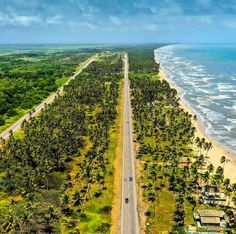 an aerial view of a road near the ocean with palm trees on both sides and a beach in the distance