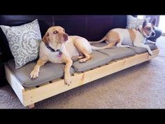 two dogs laying on top of a wooden bed frame with pillows and pillowcases