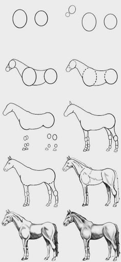 an image of horses in different positions to draw on the page, with bubbles above them