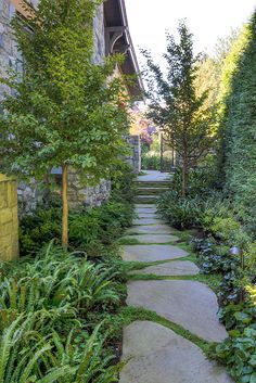 a stone path in the middle of a garden