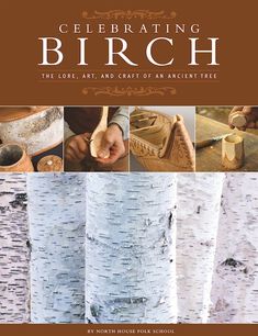 the cover of celebrating birch, an art and craft book