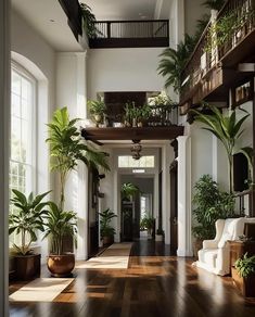 a long hallway with potted plants and windows