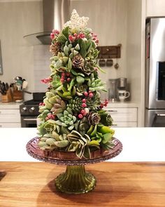 a christmas tree made out of succulents and pine cones on a kitchen counter