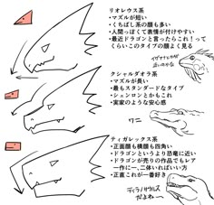 the instructions for how to draw an animal's head in japanese text, with pictures of