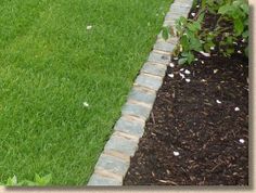 a bird is standing in the grass near a flower bed