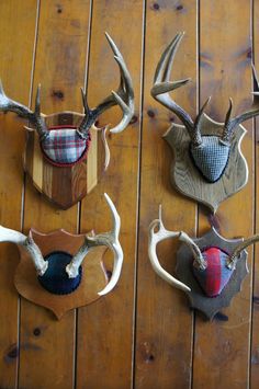 four deer heads mounted on wooden boards with plaid bandannas and antlers attached to them