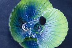 a blue and green flower with water droplets on it's petals is seen from above