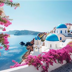 the blue and white buildings are next to the water with pink flowers growing on them