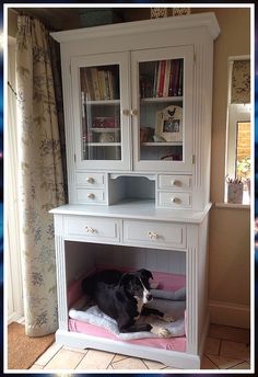 Dog Bed - Not next week, not tomorrow, Take Action NOW! Buy what you need from one of the world's most reputable online store. Dresser With Doors, Pine Shelf, Dresser Kitchen, Dog Doors, Repurposed Dresser, Pine Dresser, Dog Spaces