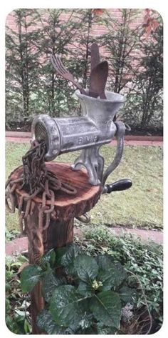 a metal object sitting on top of a tree stump in the grass next to some plants