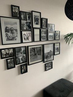 a bunch of pictures hanging on the wall next to a black bench and potted plant