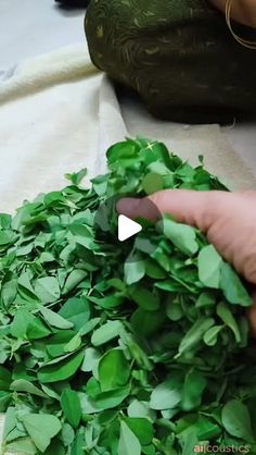 someone is cutting up some green leaves on a table