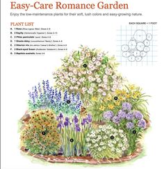 an easy - care flower garden is shown with instructions for the plants and flowers in it