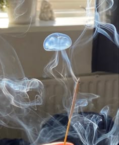 Rauch Fotografie, Wallpaper Pastel, Puff And Pass, Aesthetic Photo, Jellyfish, Pretty Pictures, Dream Life, Incense, Aesthetic Pictures