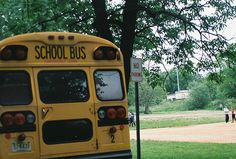 a yellow school bus parked in front of a tree with people standing around it on the grass