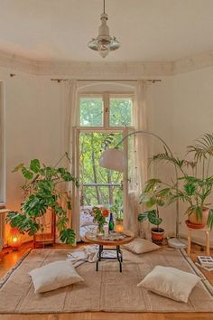 a living room filled with furniture and lots of plants