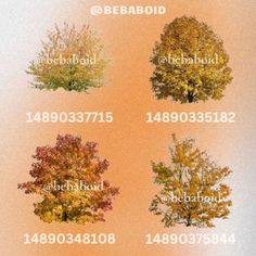 an image of different trees with the names of them in english and arabic letters on it