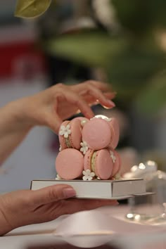 two hands reaching for some pink and white macaroons