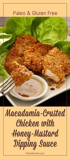 macadama - crusted chicken with honey - mustard dipping sauce on a plate