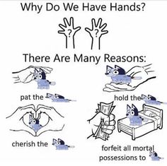 an image of someones hand gestures with the words, why do we have hands? there are many reasons