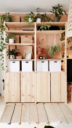 a wooden shelf filled with lots of plants