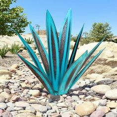 a blue plant sitting on top of a rocky ground