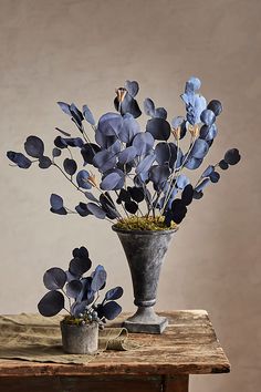 a vase filled with blue flowers sitting on top of a wooden table next to a potted plant