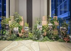 an arrangement of plants and pictures on display in front of windows