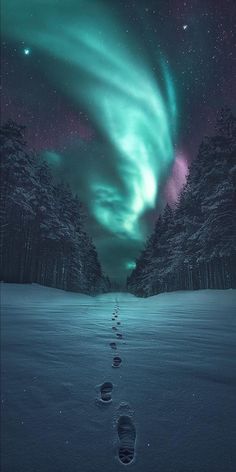 the sky is filled with green and purple lights as well as footprints in the snow