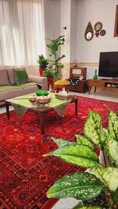 a living room filled with furniture and lots of green plants on top of red rugs