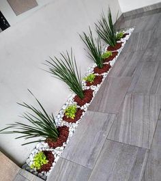 some plants are growing in the corner of a building with grey tiles and white pebbles