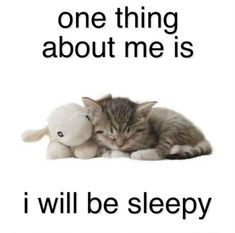 a cat sleeping next to a stuffed animal with the caption one thing about me is i will be sleepy