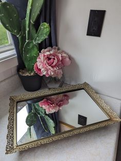 a mirror sitting on top of a counter next to a potted plant