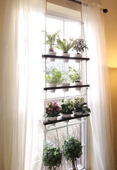 a window sill filled with potted plants