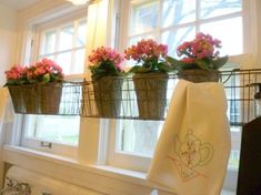 three flower pots on the window sill above a sink with towels hanging from it