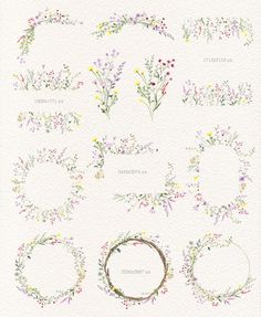 an image of flowers and wreaths drawn in watercolor