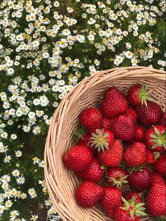 a basket full of strawberries sitting in front of daisies