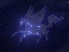 the zodiac sign horse with stars in the background