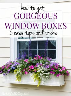 a window box with flowers in it and the words how to get gorgeous window boxes easy tips and tricks