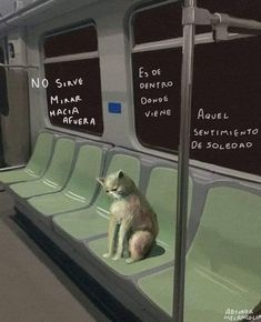 a dog sitting on the seat of a train with writing on it's walls