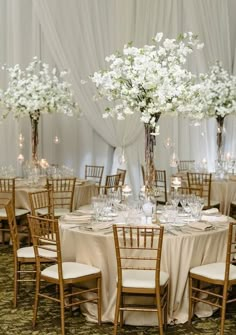 the tables are set with white flowers in tall vases