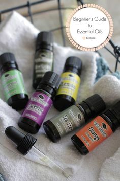 Essential Oils For Beginners, Essential Oil Usage, Plant Therapy Essential Oils, Are Essential Oils Safe, Essential Oils 101, Essential Oil Set, Plant Therapy, Oil Uses, Essential Oil Uses